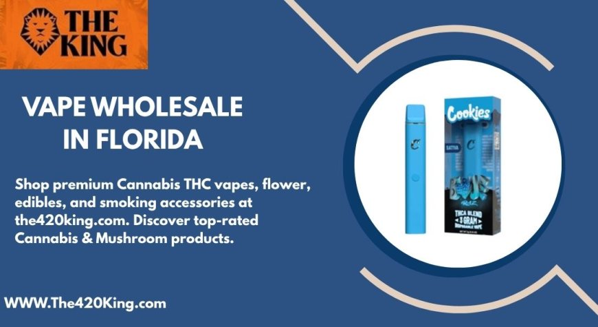 Your Go-To Source for Vape Wholesale in Florida | The 420 King