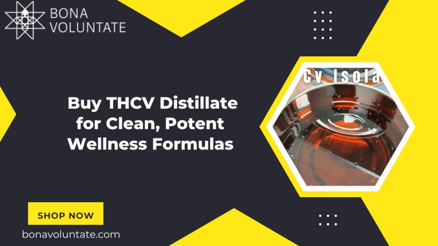 Buy THCV Distillate for Clean, Potent Wellness Formulas