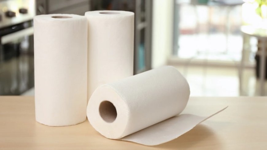 Discover the Best Paper Towel Rolls Before They’re Gone
