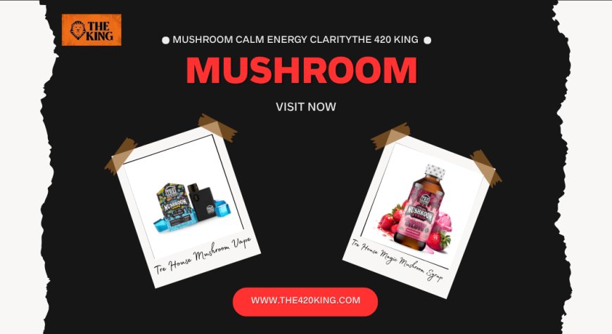 Mushroom Momentum: Calm Energy & Clarity with The 420 King’s Fungi Finds