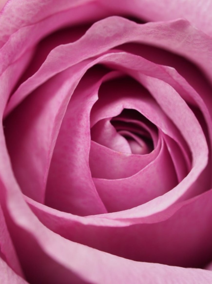 Mystic Rose Meditation at Astitva Well Being: Heal Through Laughter, Tears, and Silence