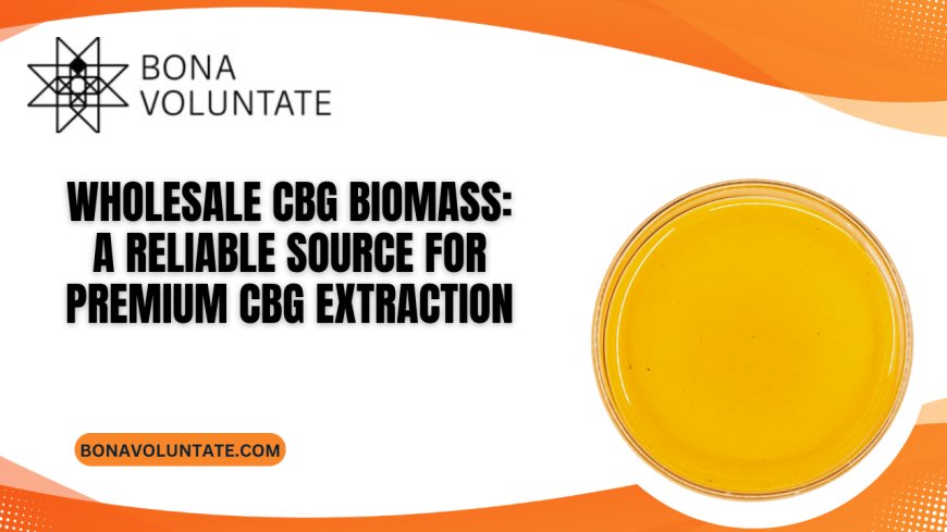 Wholesale CBG Biomass: A Reliable Source for Premium CBG Extraction