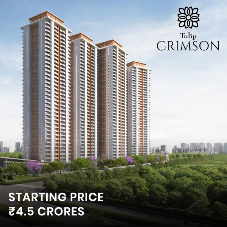 Tulip Crimson Updates: Latest Sizes and Price Hike for Sector 70 Apartments