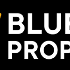 bluechipproperties